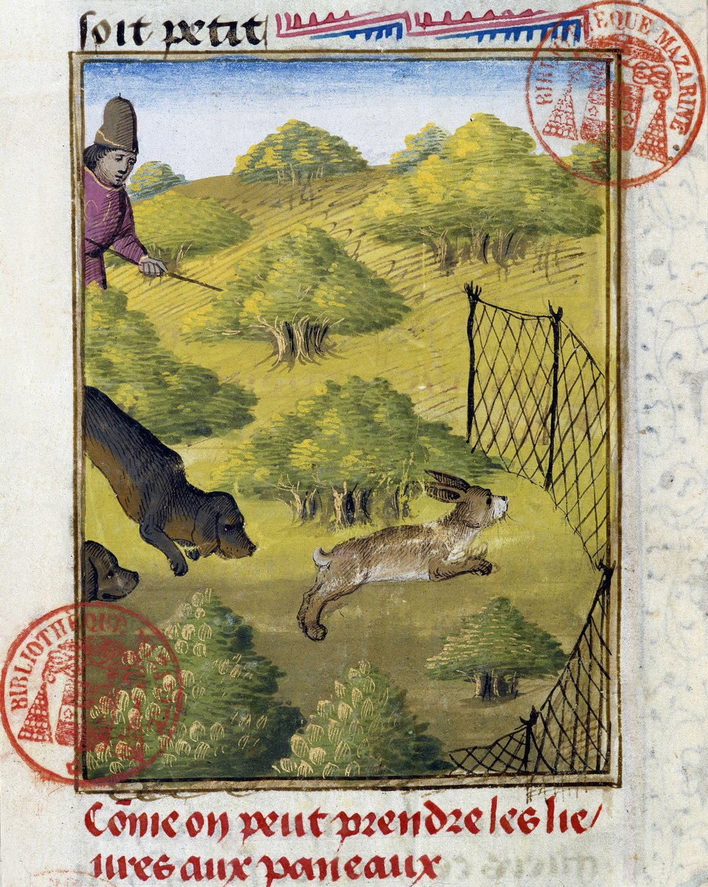 Felle for hare og jakthunder - i "" Jaktbok av Gaston Phoebus, greve av Foix, Lord of Bearn"" av French School
