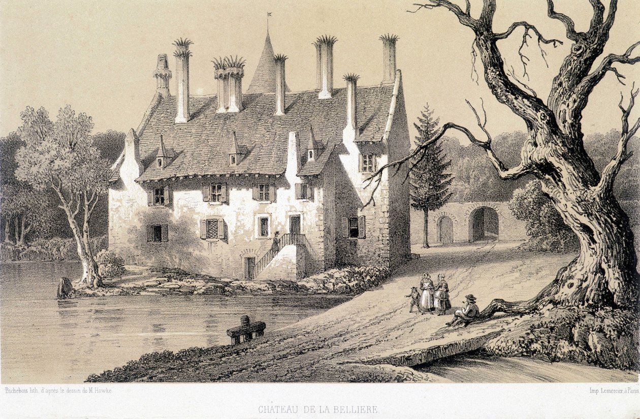 Utsikt over Chateau de la Belliere (Cote d