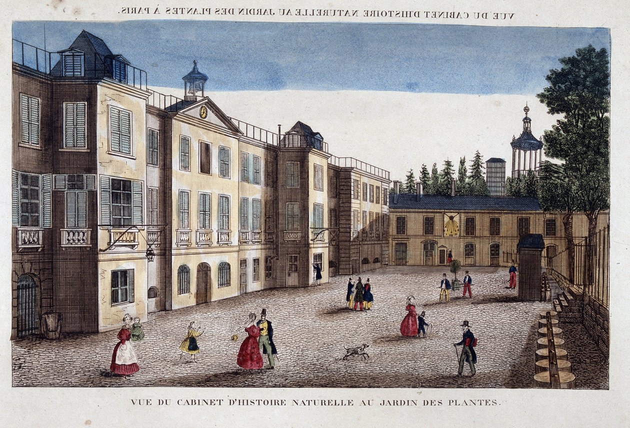 Utsikt over det naturhistoriske kabinettet ved Jardin des Plantes i Paris - gravering av French School