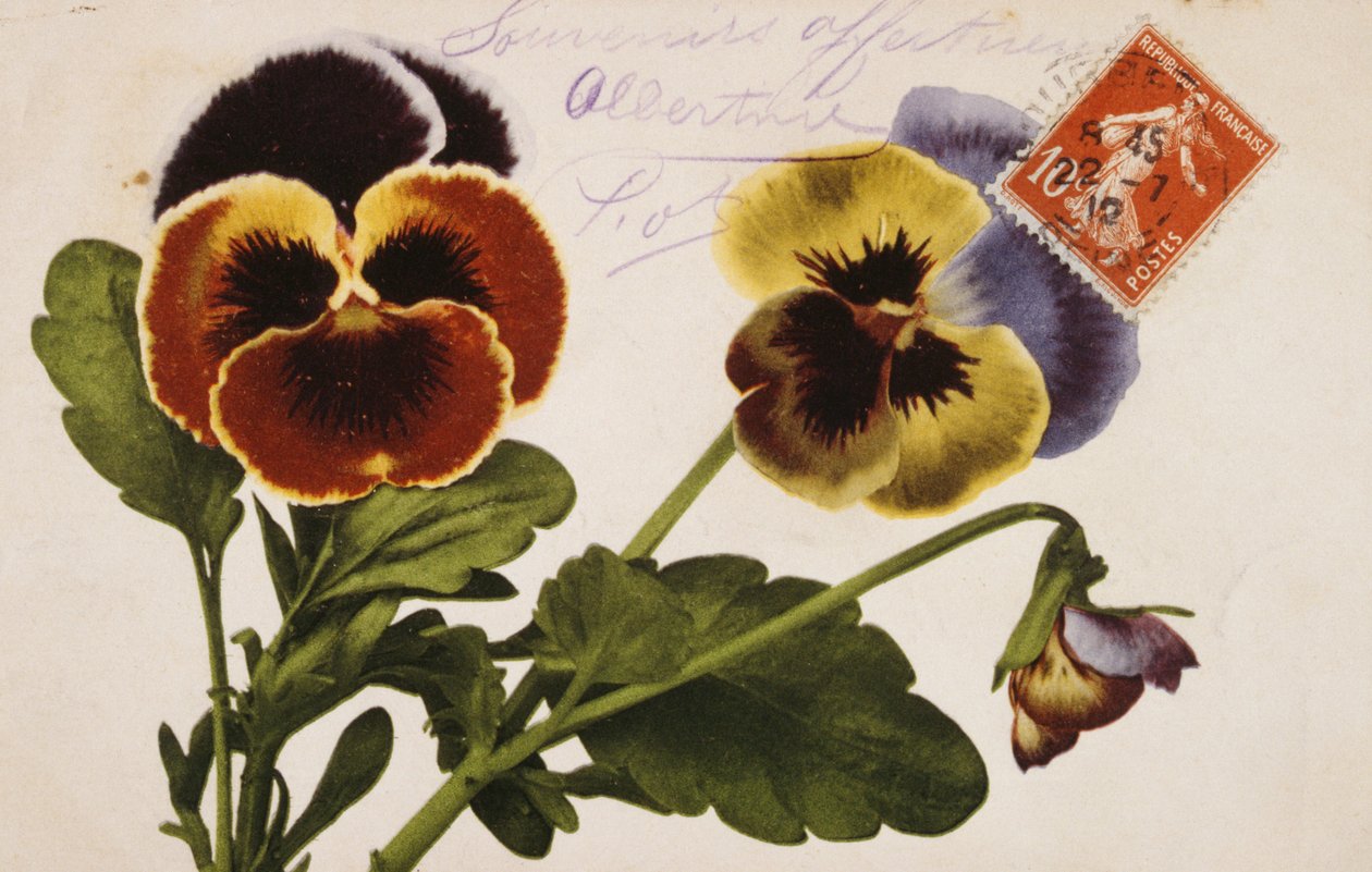 Gammelt fransk postkort med blomsterdekorasjoner av French School