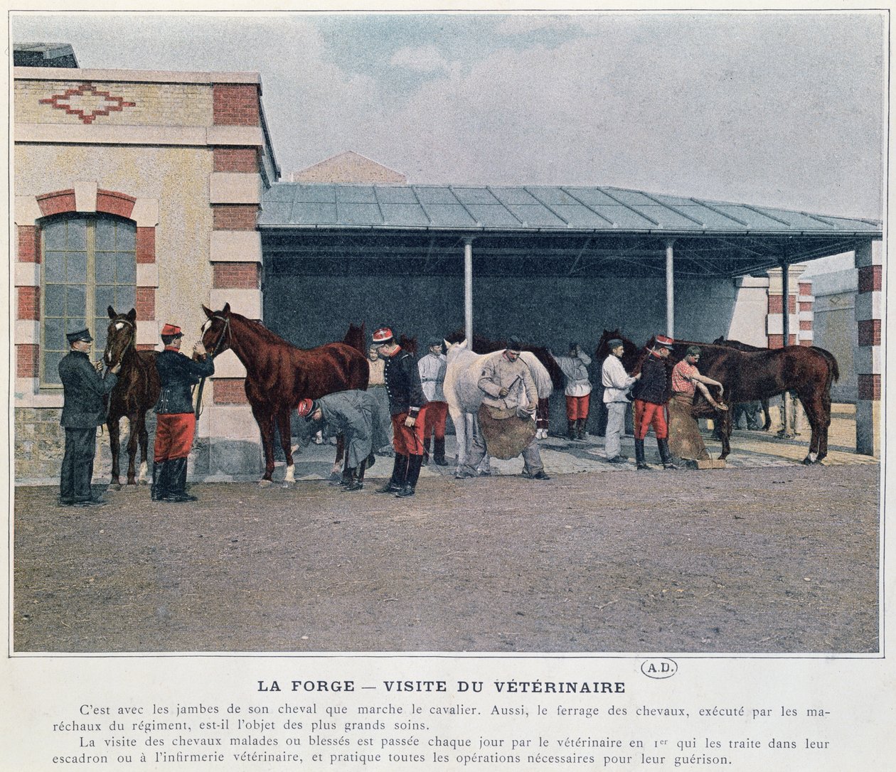 Besøk av hærveterinæren til brakkene, 1897 (farge litho, etter et farget bilde) av French School