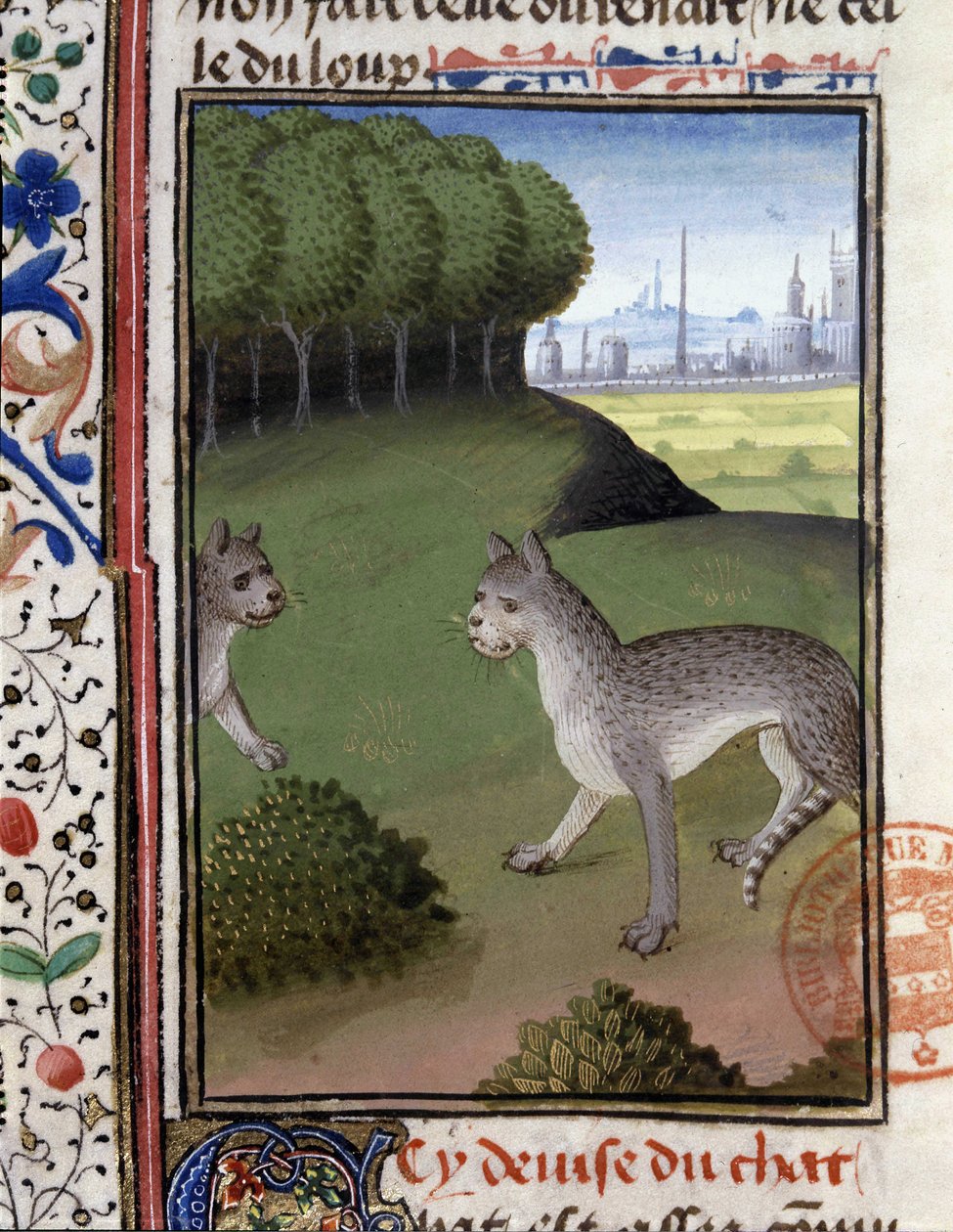 Villkatter - i "" Hunting Book of Gaston Phoebus, Count of Foix, Lord of Bearn"" av French School