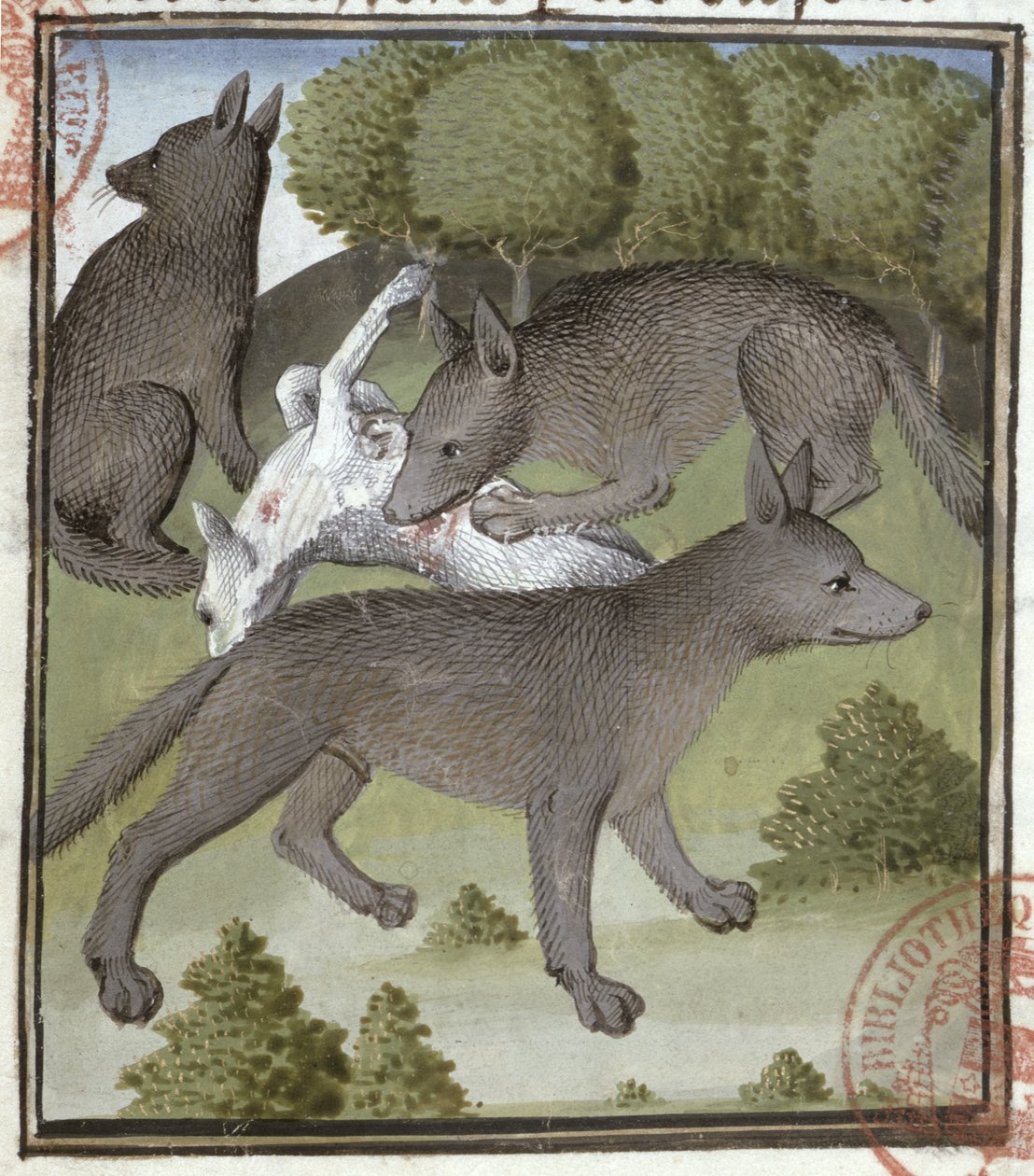 Ulver, fra Jaktens bok av Gaston Phebus av French School