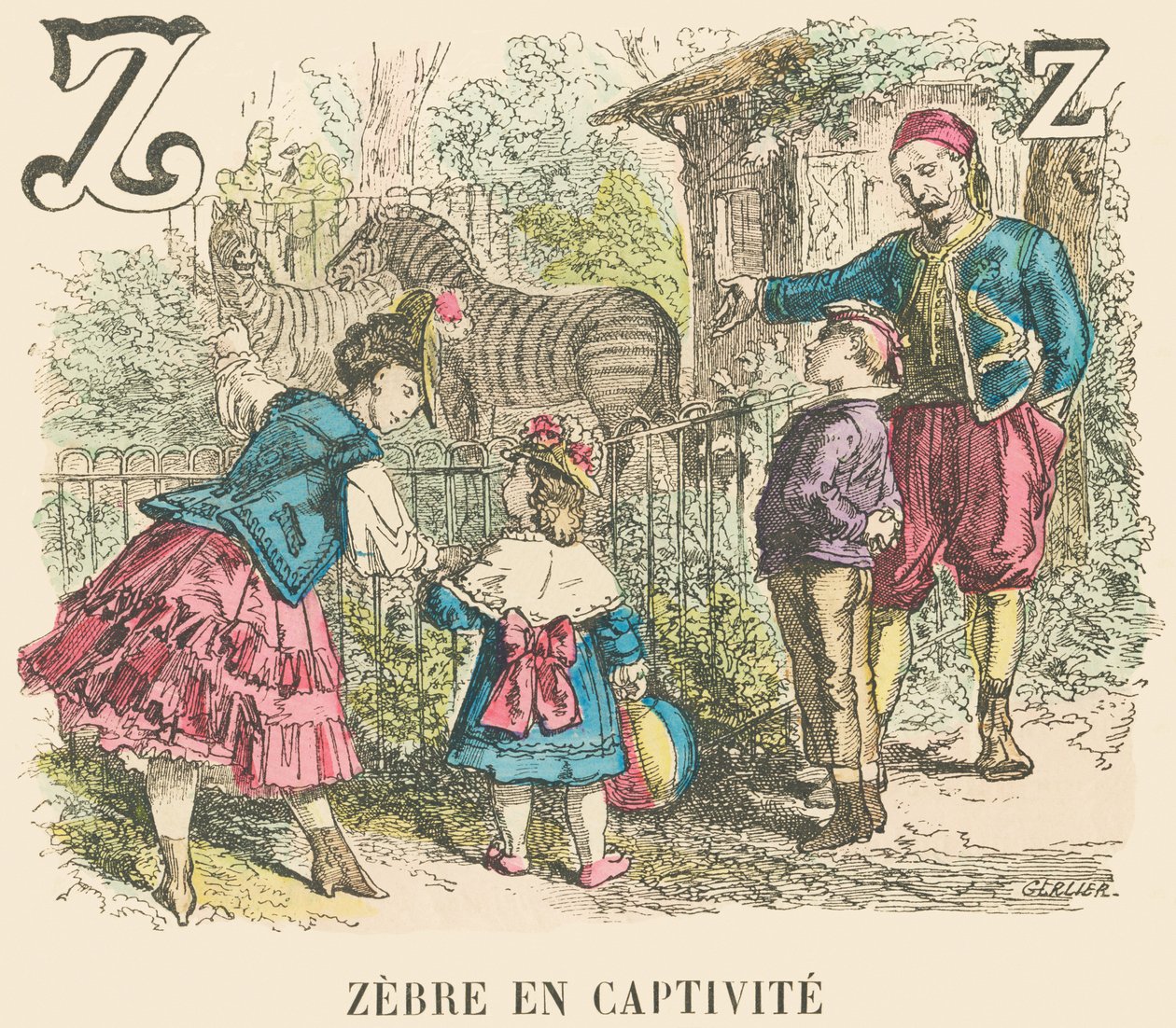 Z: Sebra i fangenskap av French School