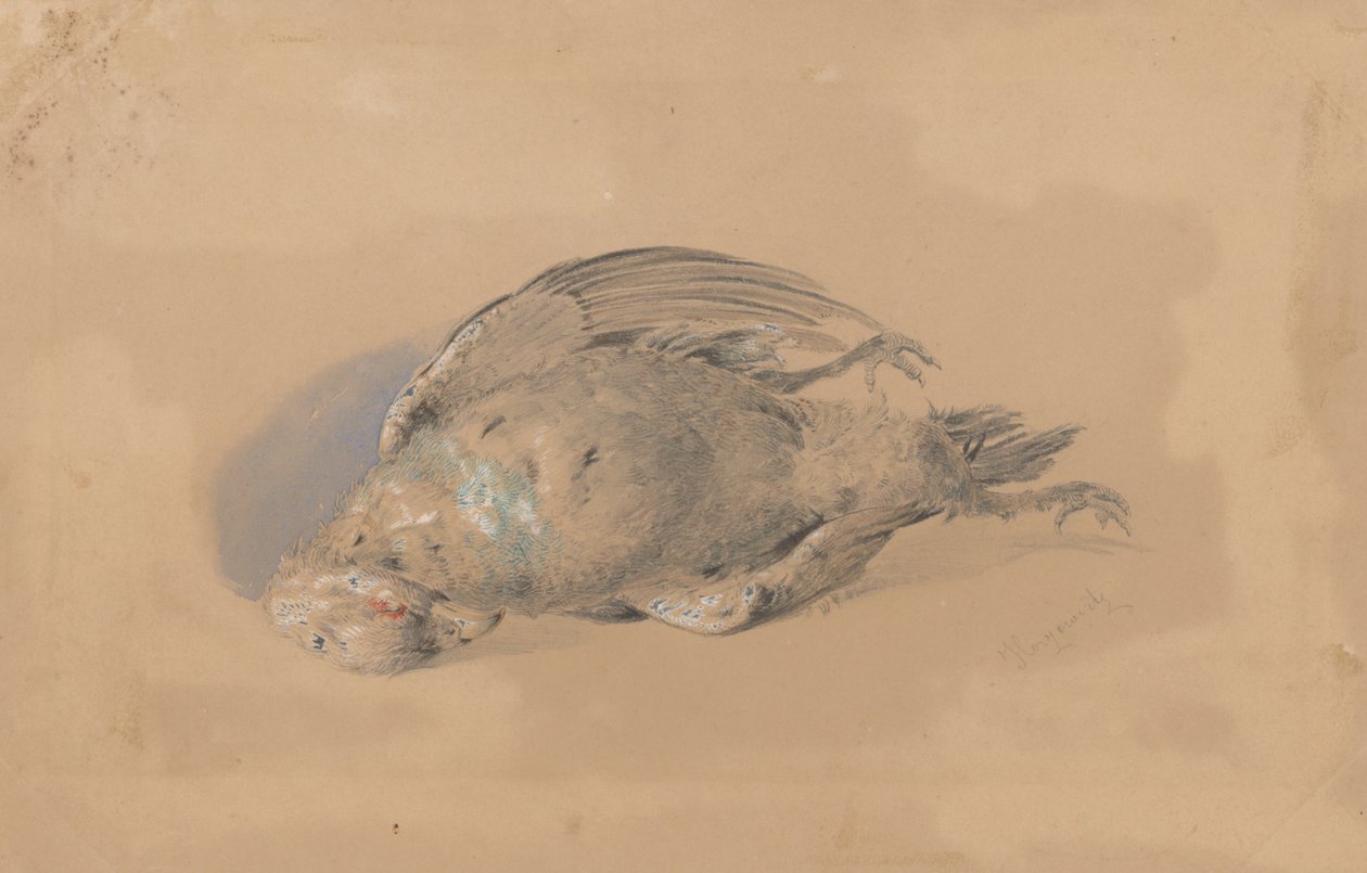 Dead Grouse av Friedrich Carl von Scheidlin