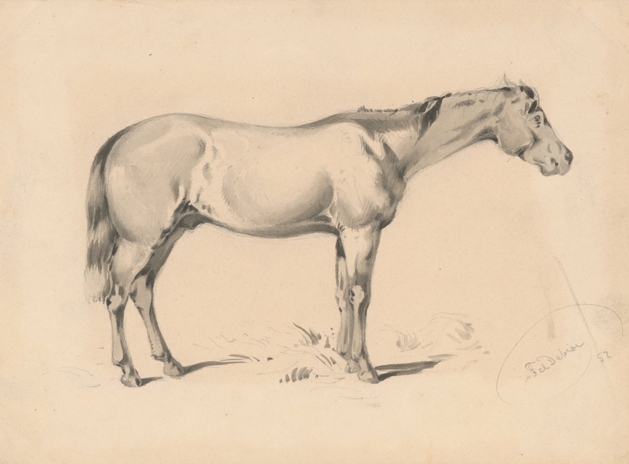 Studie av en hest I av Friedrich Carl von Scheidlin