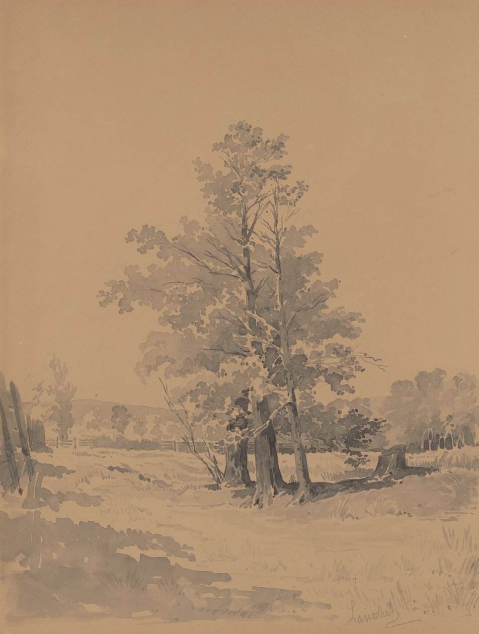 Trær på kanten av skogen av Friedrich Carl von Scheidlin