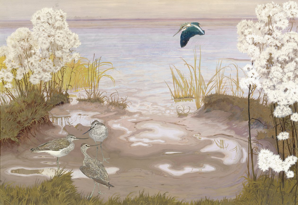 Bird on the mud flats of the Elbe, 1910 (tempera på kort) av Friedrich Lissmann