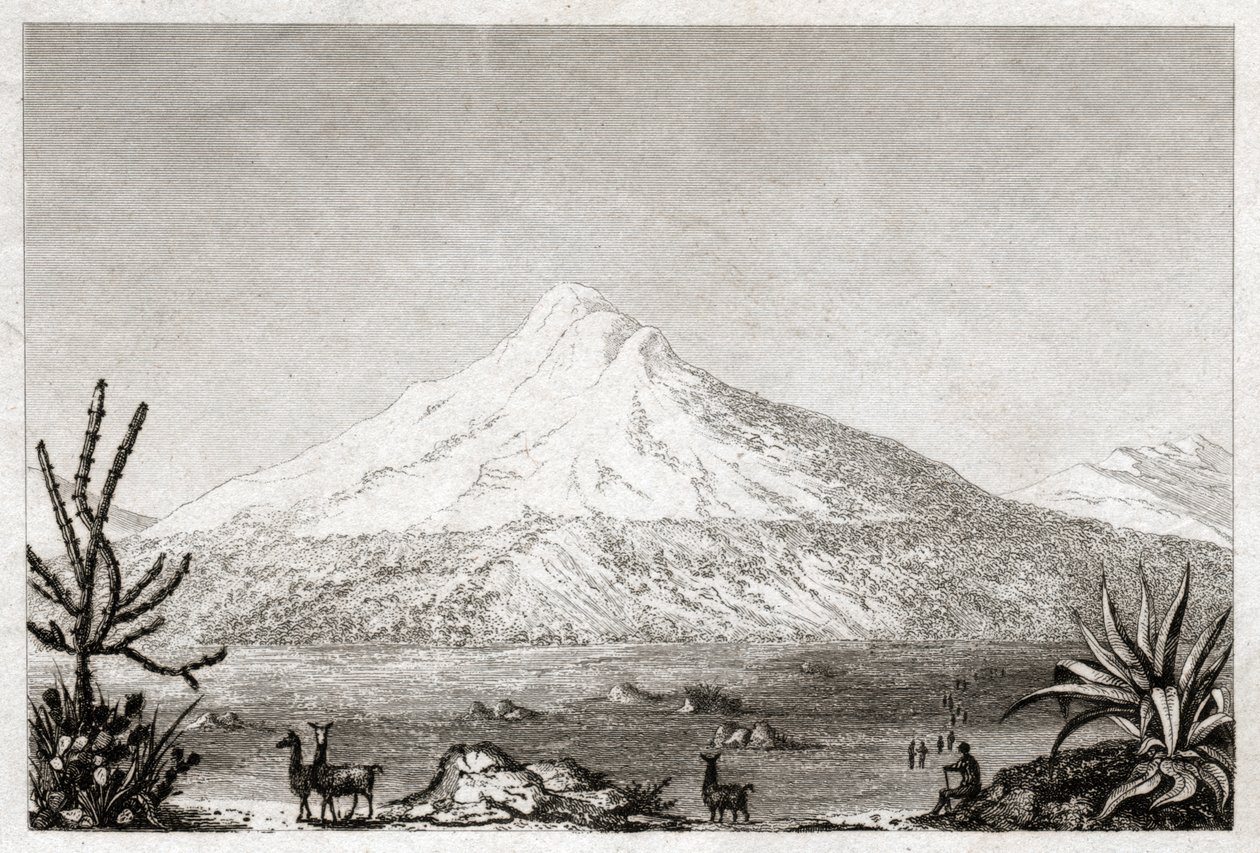 Chimborazo vulkan. (gravering, ca. 1840) av Friedrich Alexander Baron von (after) Humboldt