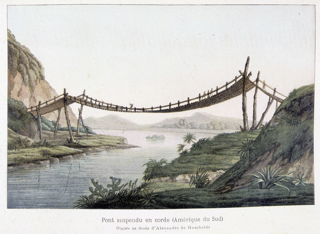Tauhengebro i Sør-Amerika, basert på en tegning av Alexander Von Humboldt (Alexander de Humboldt av Friedrich Alexander Baron von (after) Humboldt