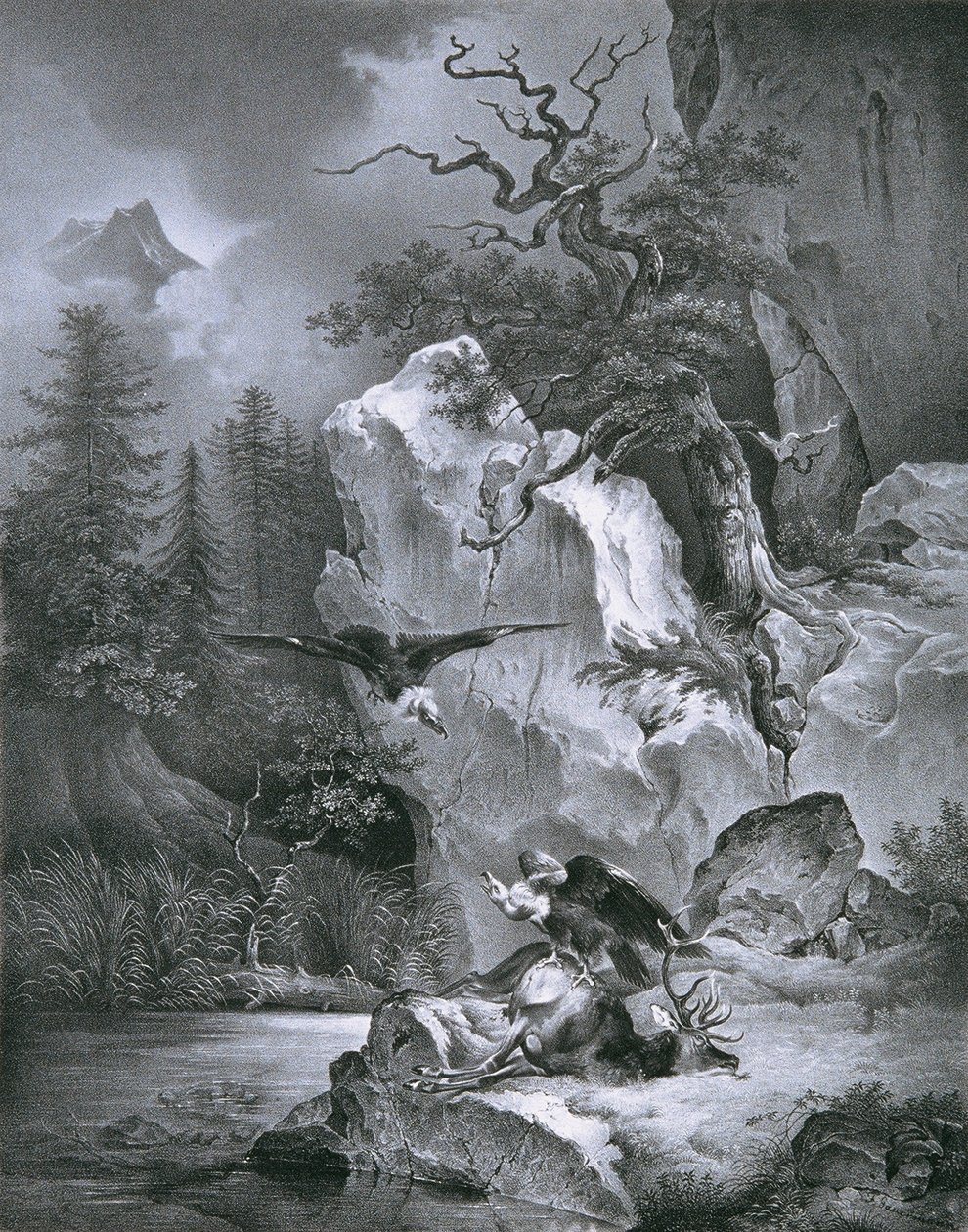 Gribb med død hjort av Friedrich August Mathias Gauermann
