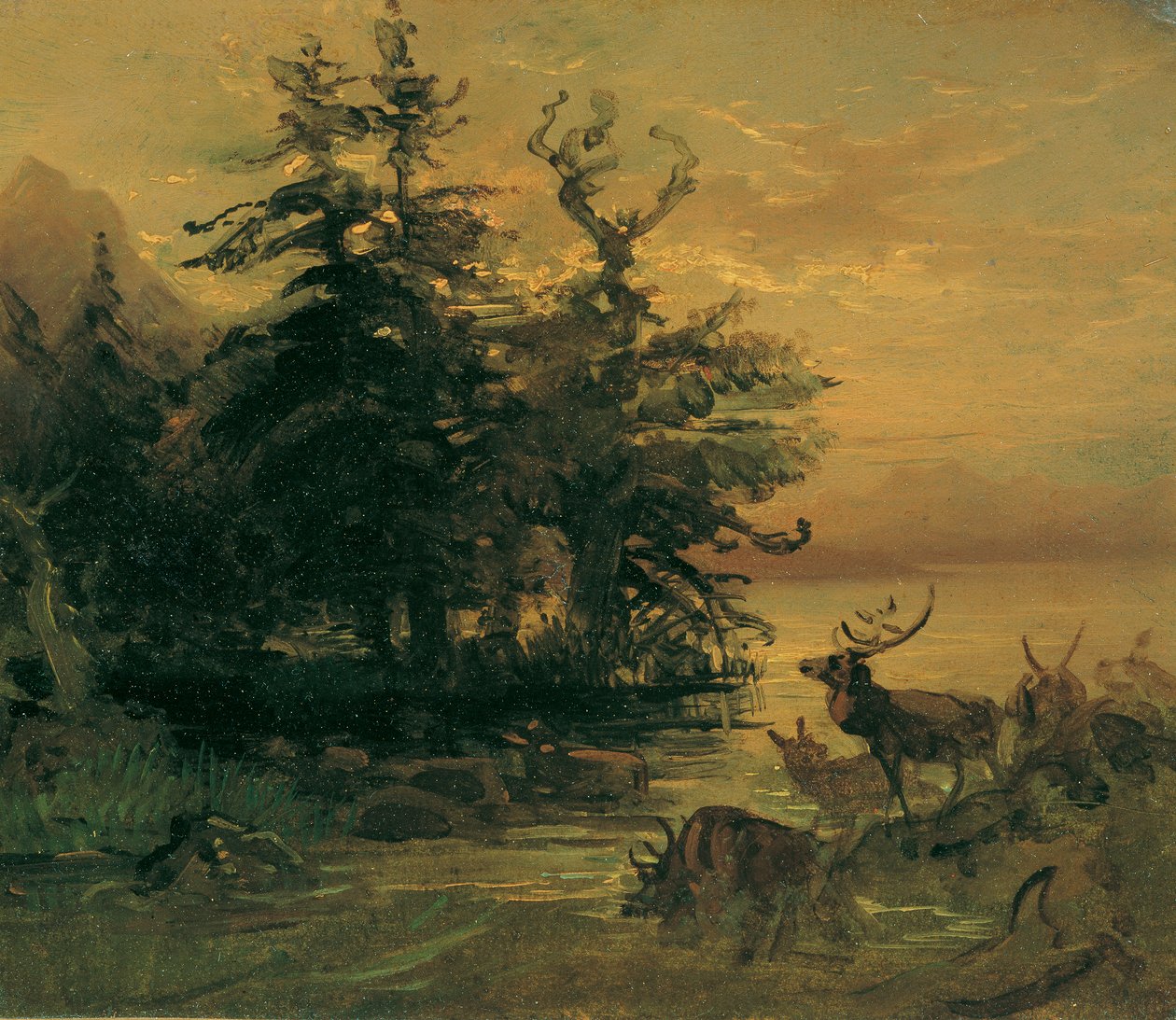 Veltrende hjort ved bredden av et fjellvann av Friedrich August Mathias Gauermann