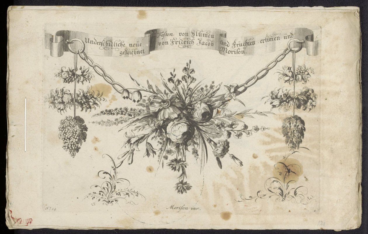 Annen ny festong av blomster og frukt av Friedrich Jacob Morisson