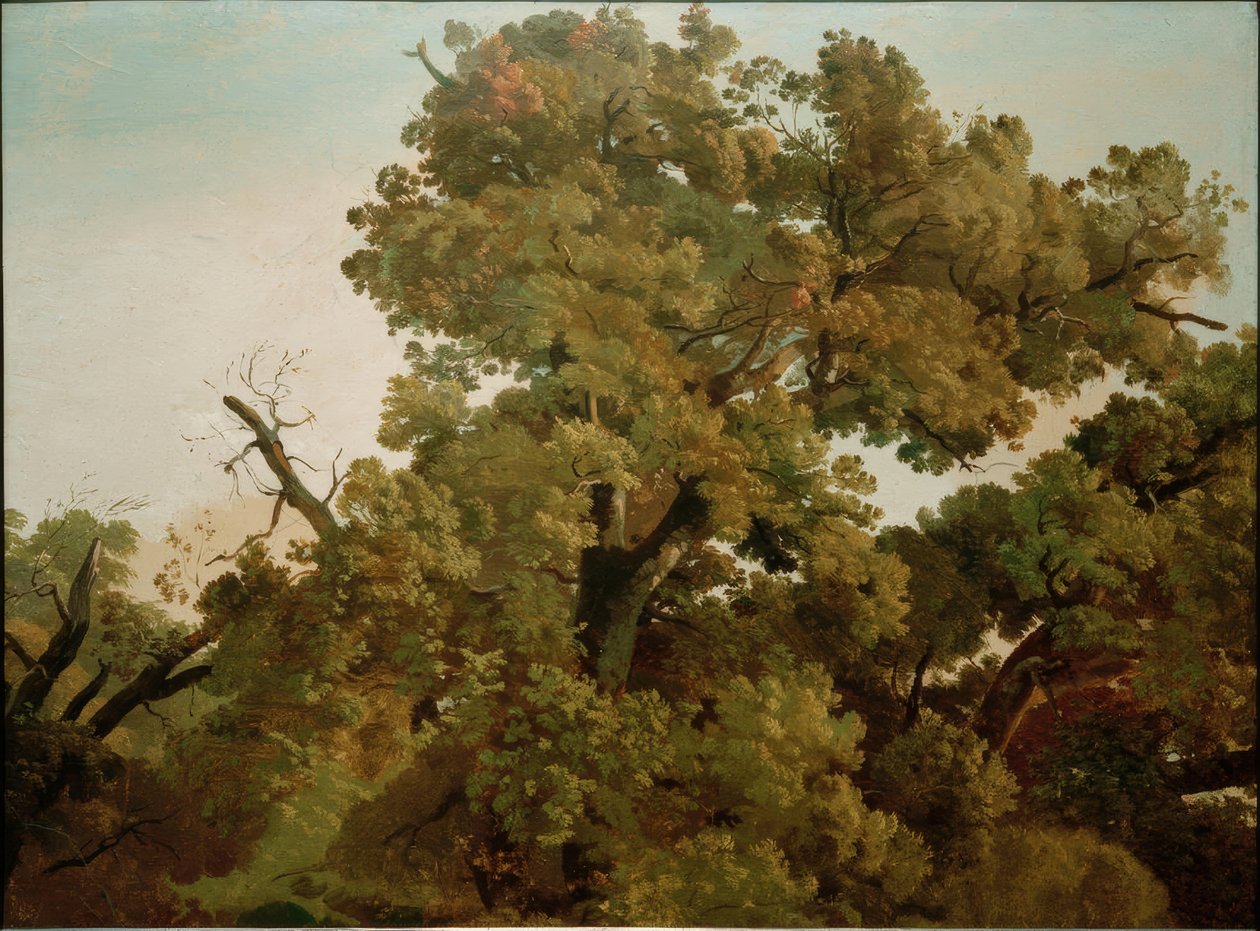  av Friedrich Nerly