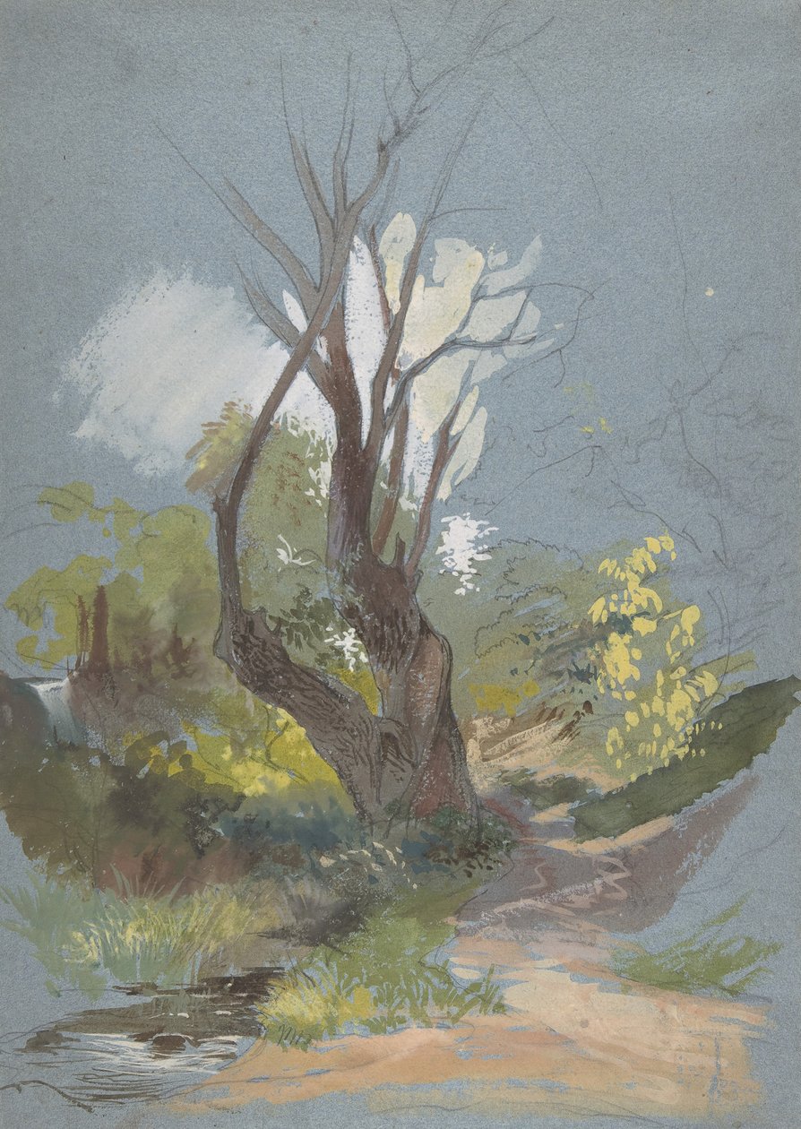 Fjellsti med et tre, 1820-78. av Friedrich Nerly