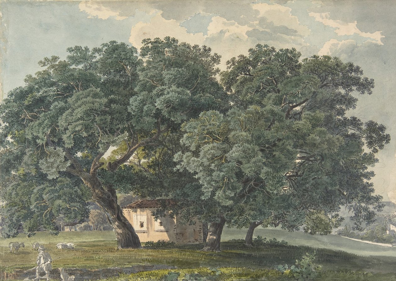 Italiensk landskap med trær recto, 1815-21. av Friedrich Salathé
