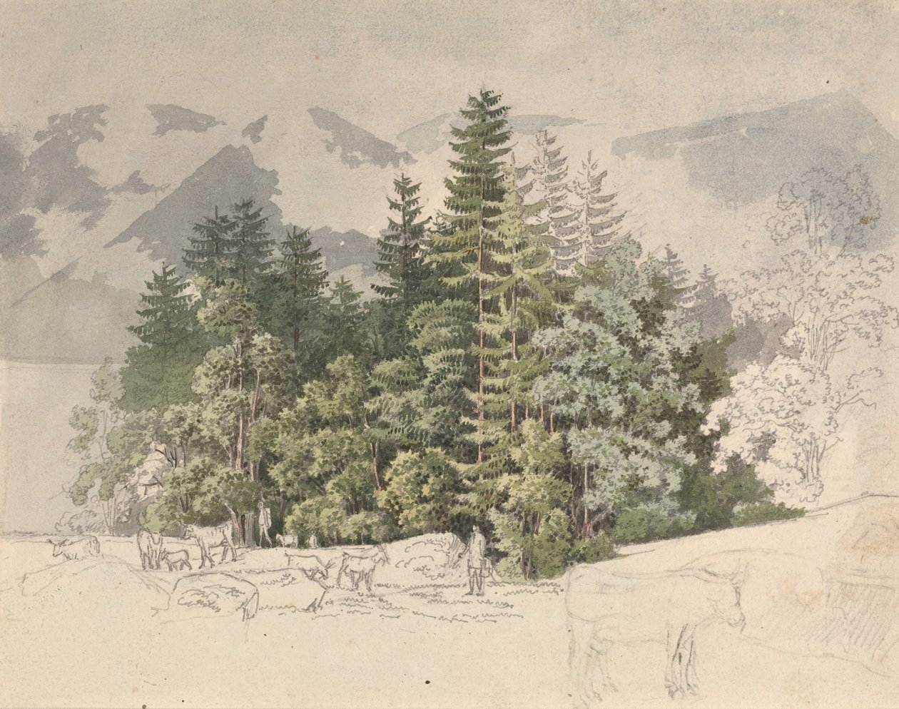 Alpint landskap (gouache over grafitt) av Friedrich Salathe