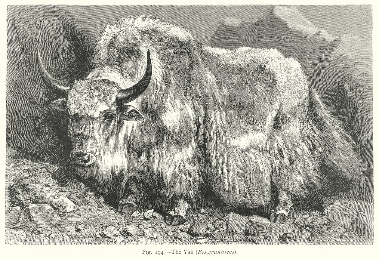  av Friedrich Specht