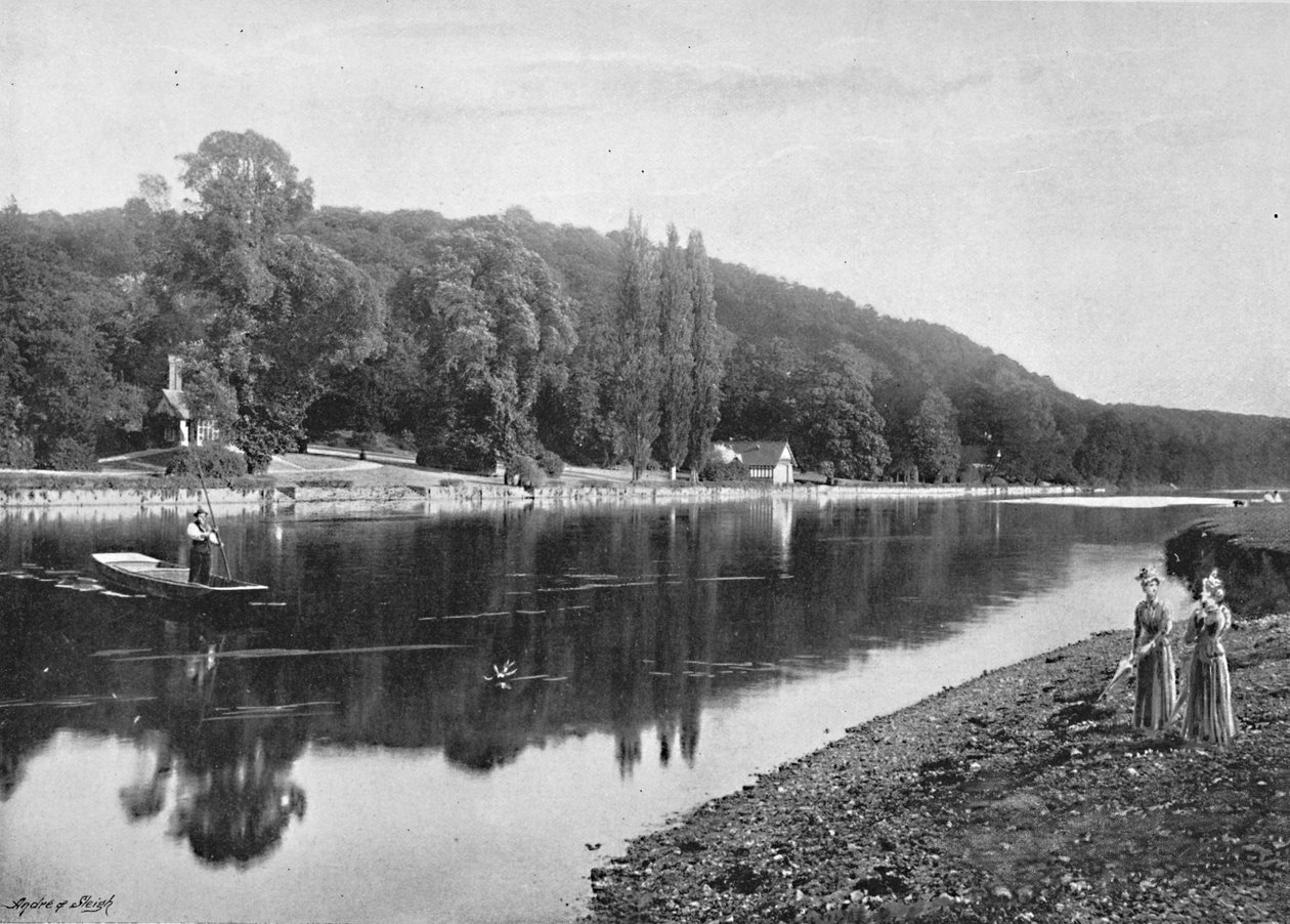 Cliefden Woods, c1896 av Frith and Co