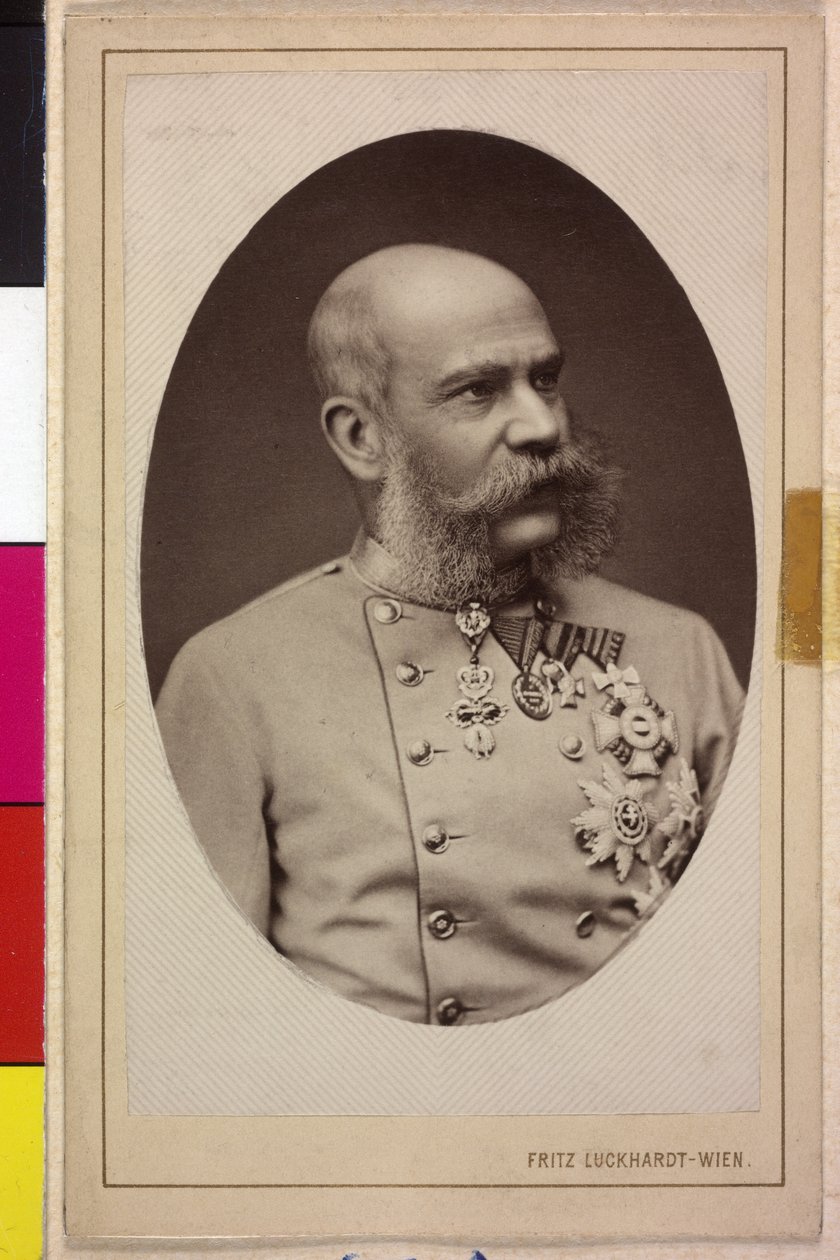  av Fritz Luckhardt