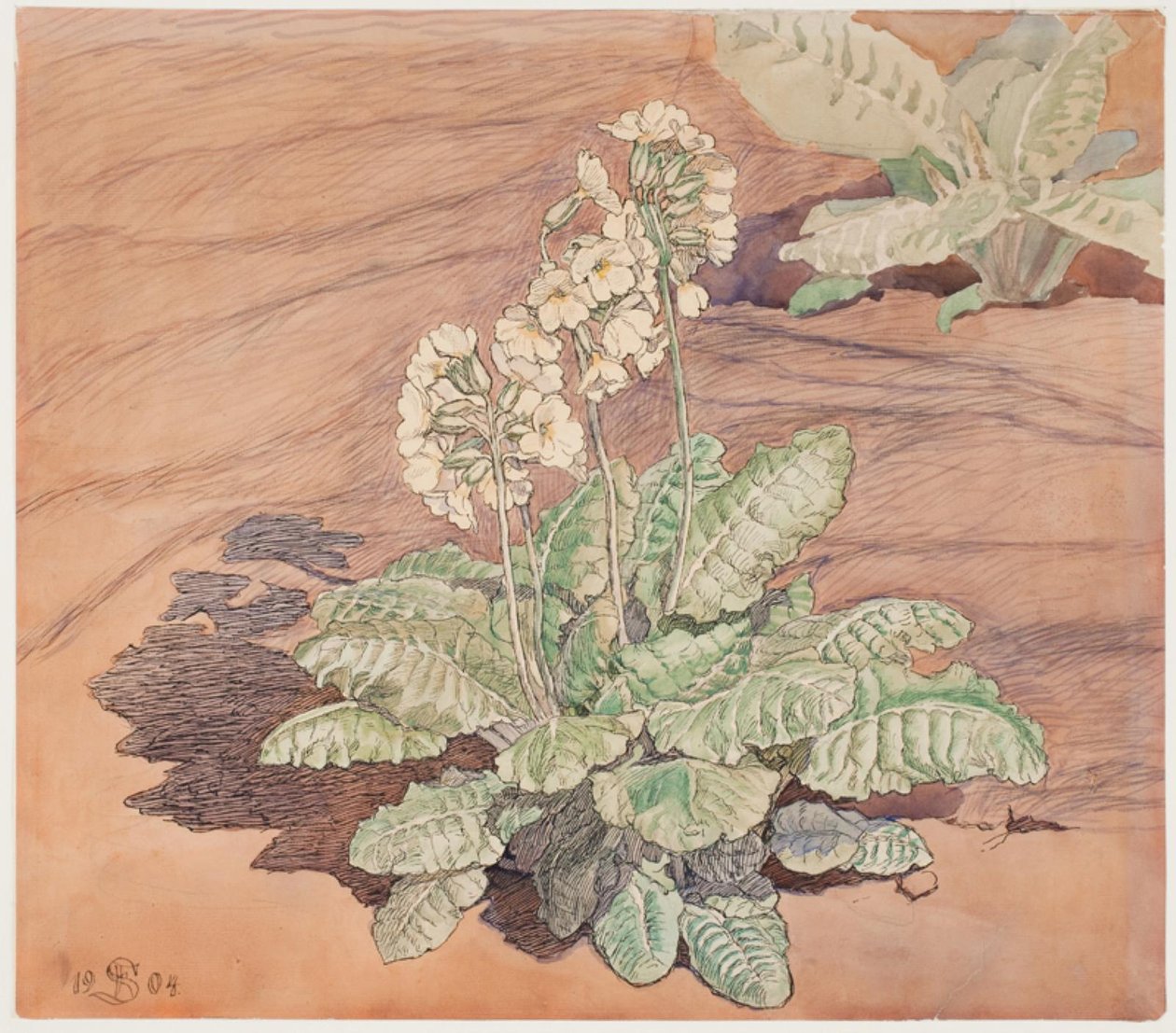 Dyrker cowpea i solskinn av Fritz Syberg