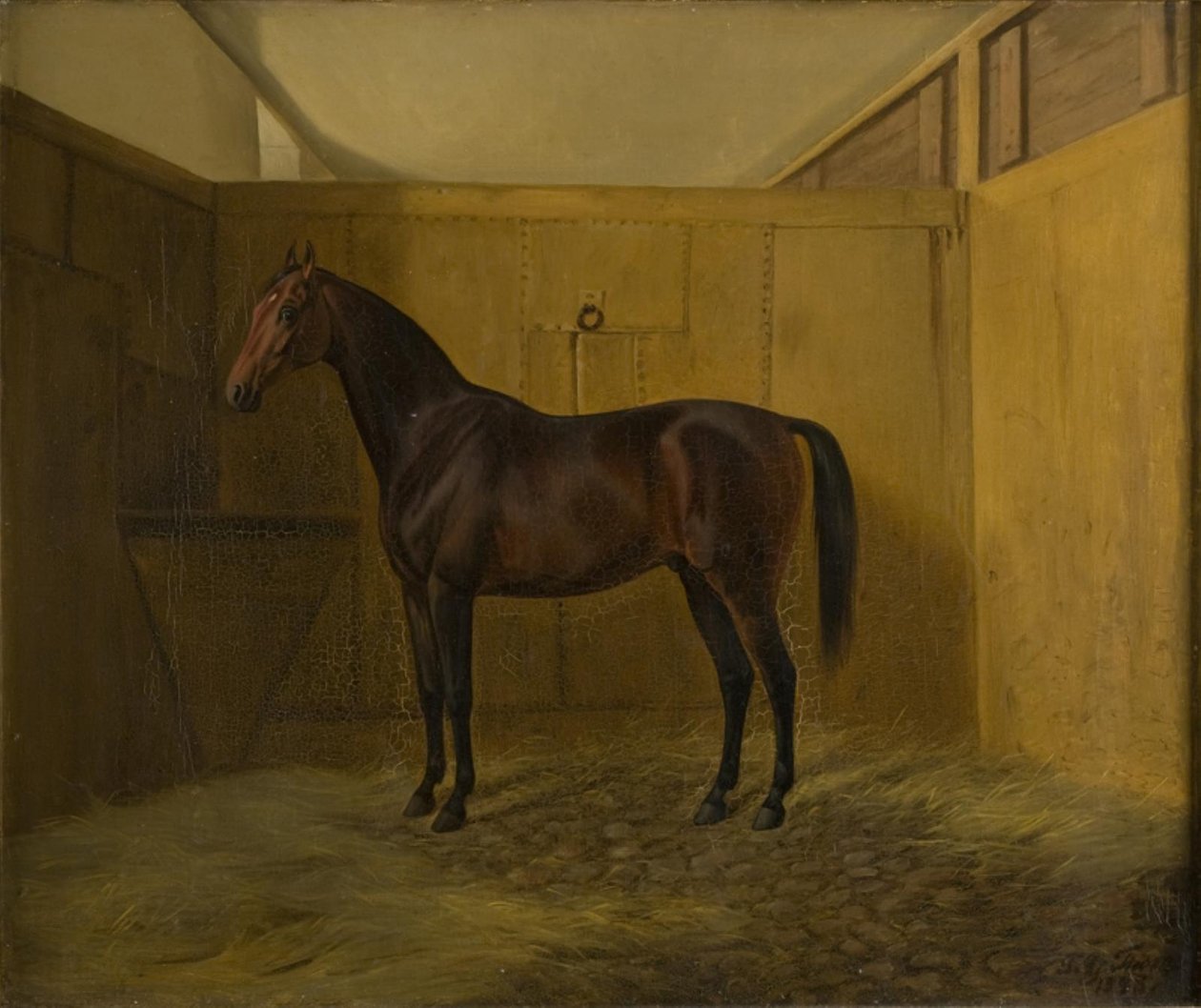 Bruno av Fritz Thomsen