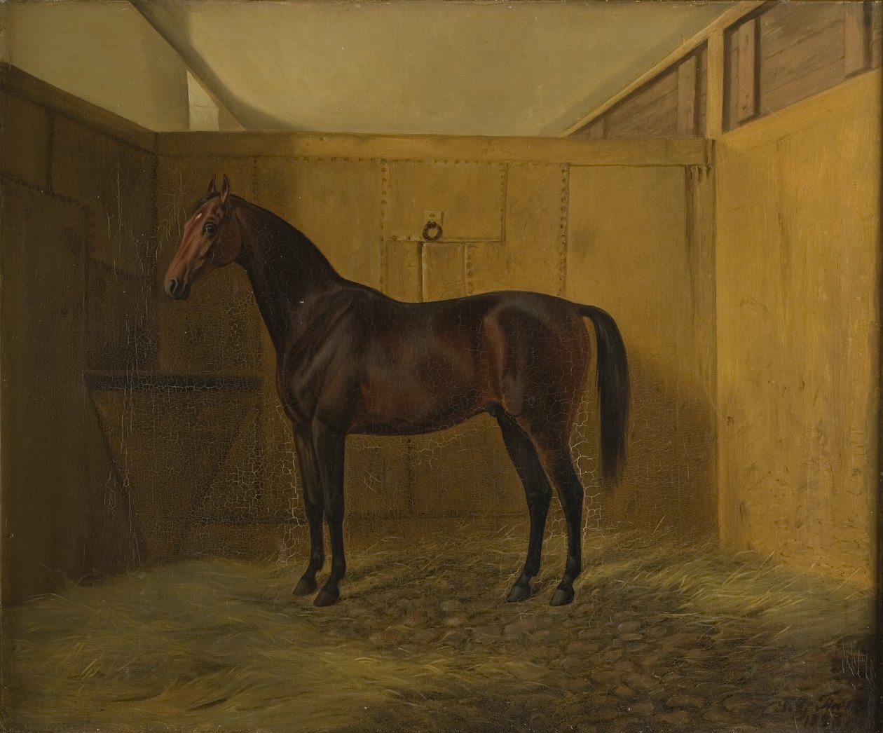 Hersilia av Fritz Thomsen