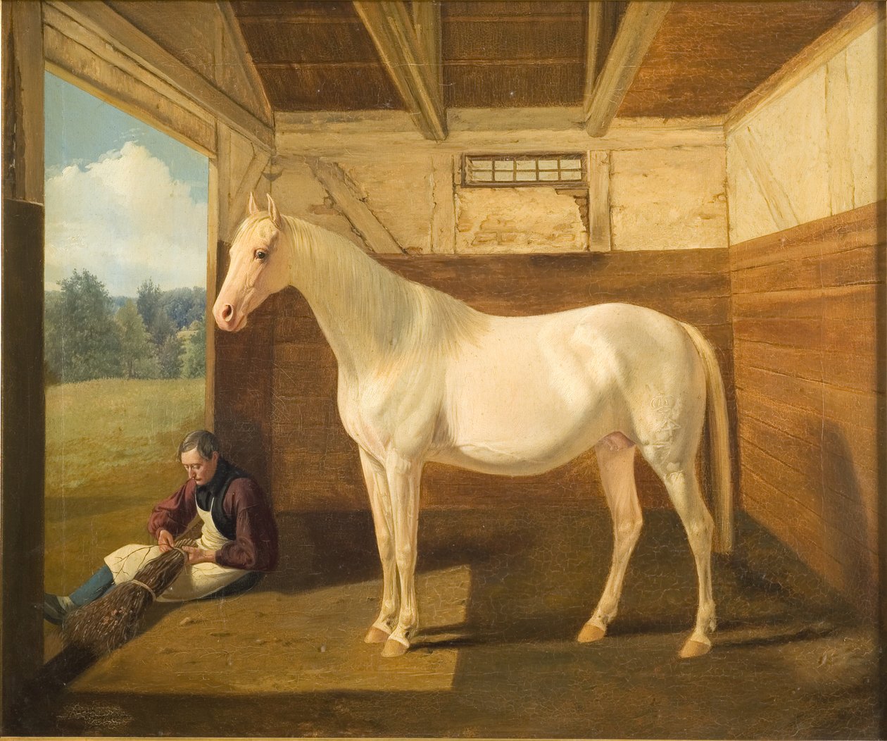 Svanehvit av Fritz Thomsen