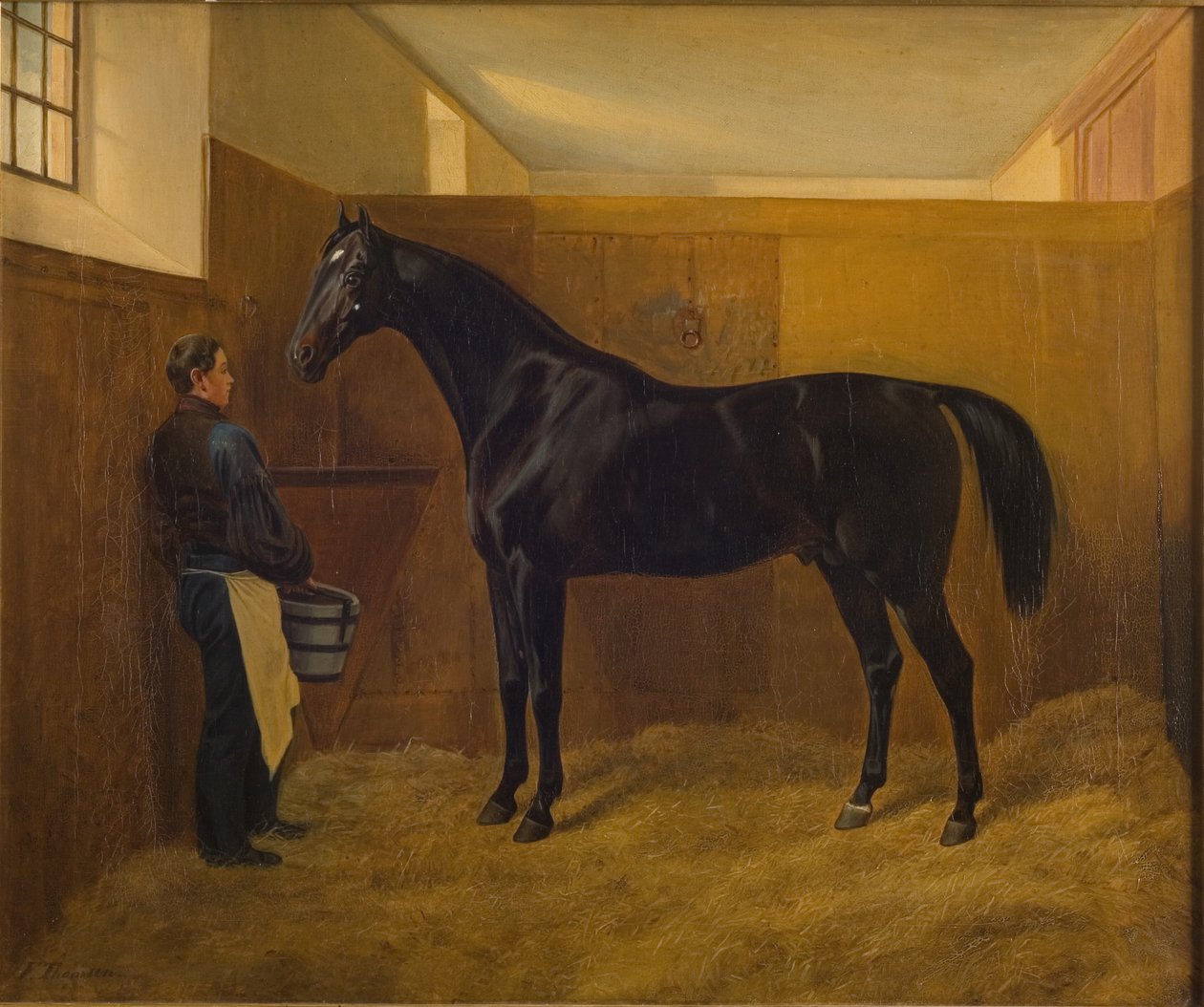 Ben av Fritz Thomsen