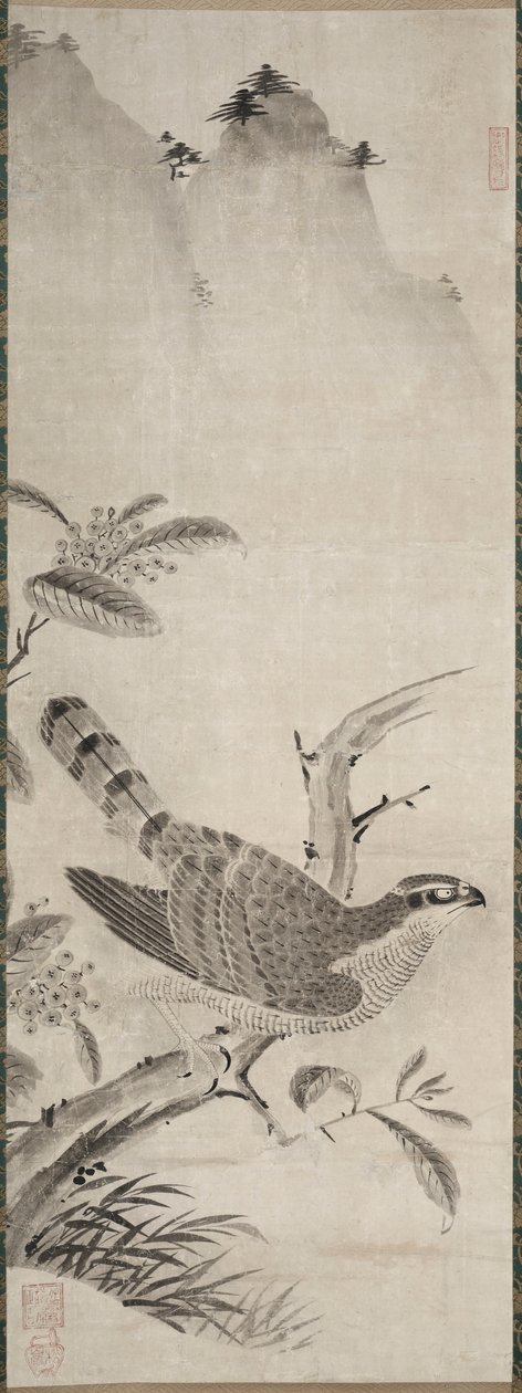 Hauk av Fujiwara Masayoshi