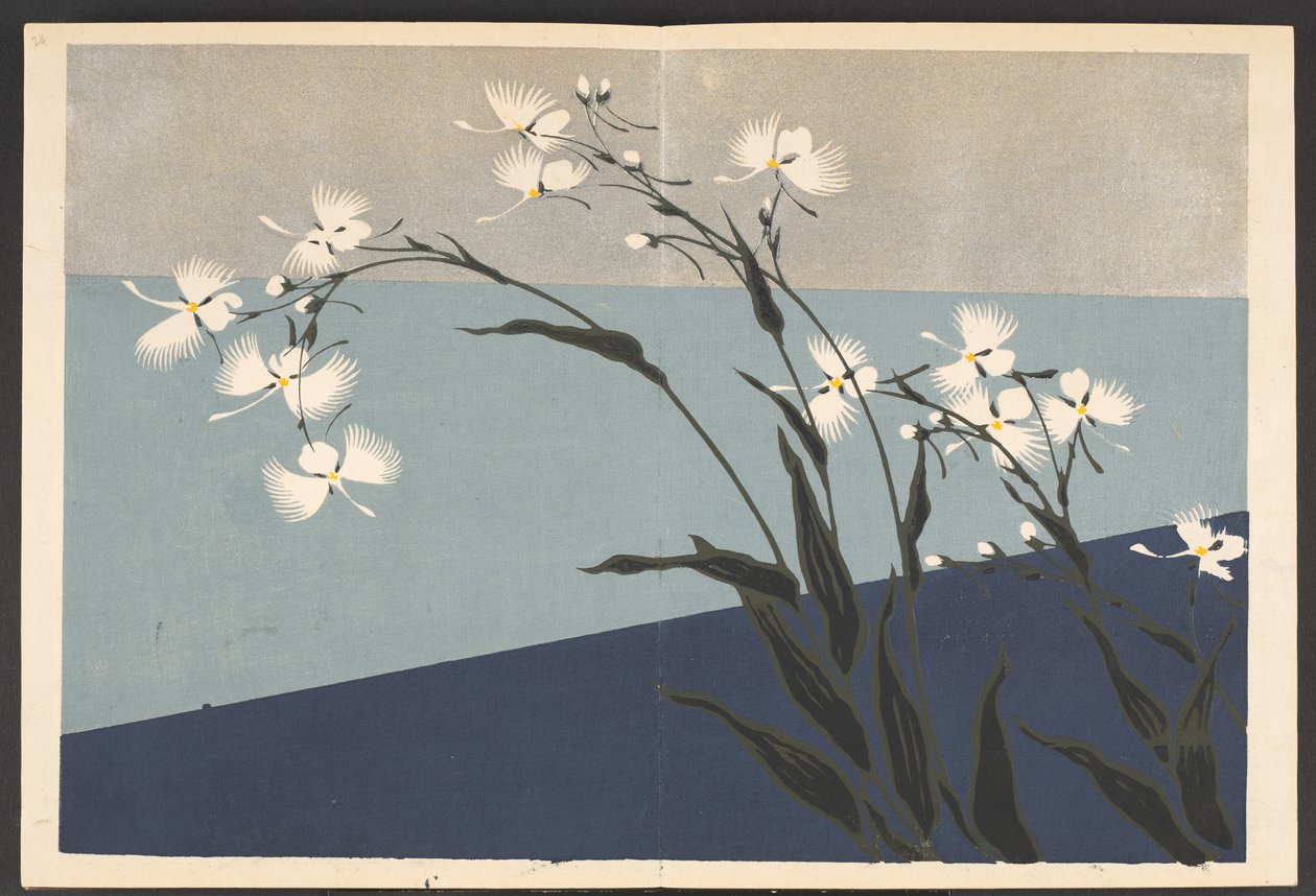 Shasei sôka môyô, Mønstre av planter og blomster fra livet av Furuya Korin