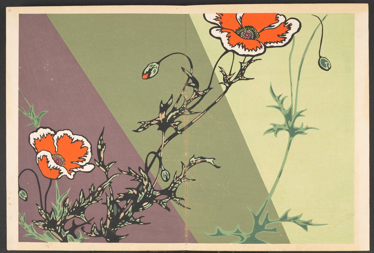 Shasei sôka môyô, Mønstre av planter og blomster fra livet av Furuya Korin