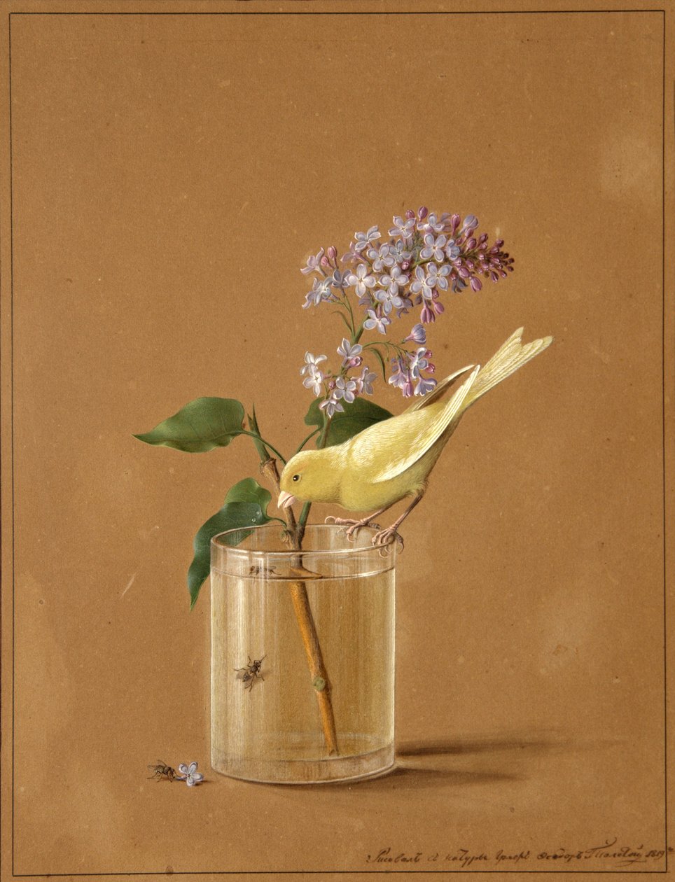 Kanarifugl på en lilla gren, 1819 av Fyodor Petrovich Tolstoy