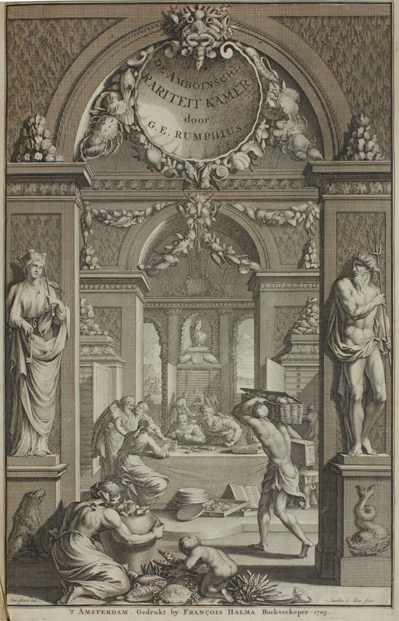 G. E. Rumphius, Amboinische Rariteikammer, Amsterdam 1705 av G. E. Rumphius