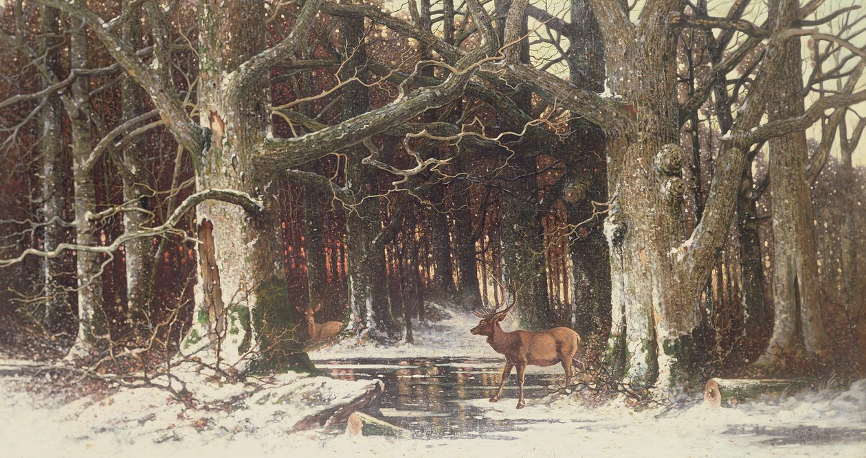 Hjort i skogen, 1800-tallet av G. Schneyder