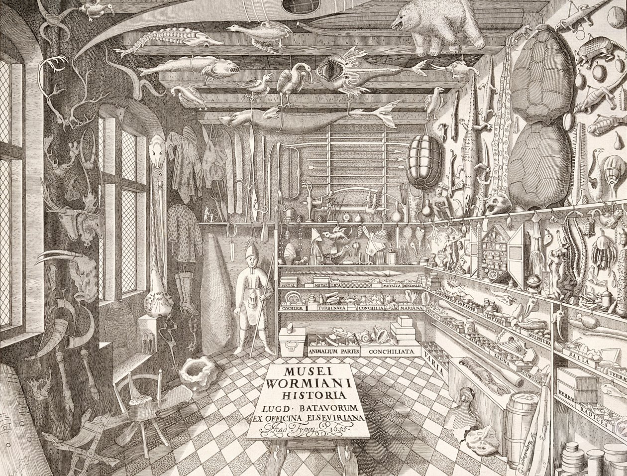 Museum of Ole Worm, Leiden, 1655 av G. Wingendorp