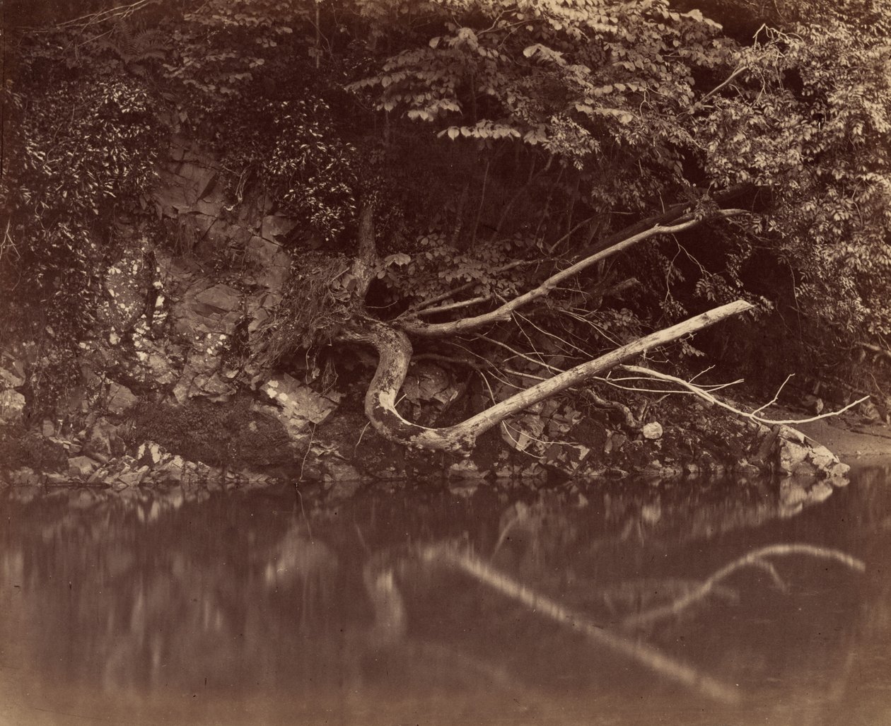Elvebredden i Vale of Neath, ca. 1855. av G. B. Gething