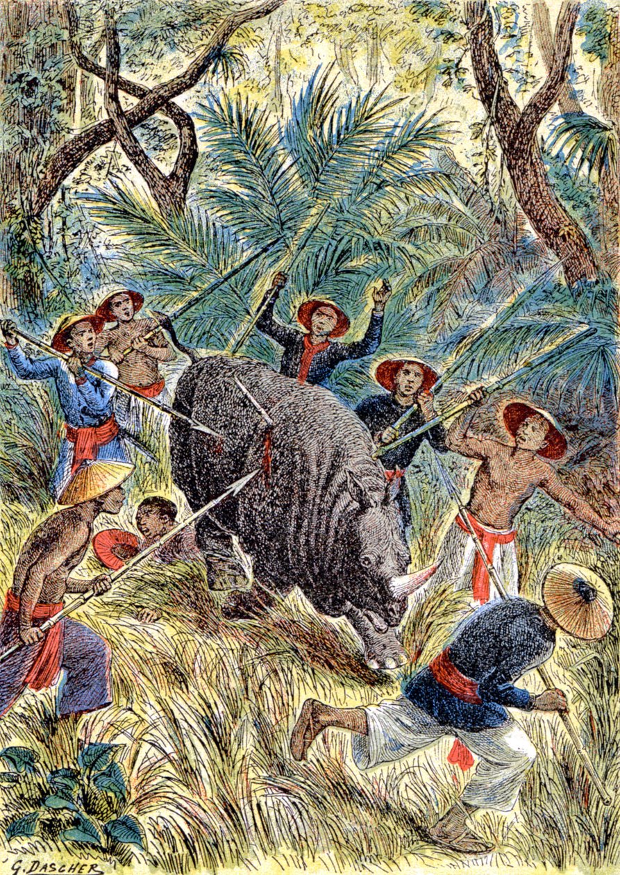 Jakt på neshorn, Fransk Indokina, ca. 1900 (illustrasjon) av G. Dascher