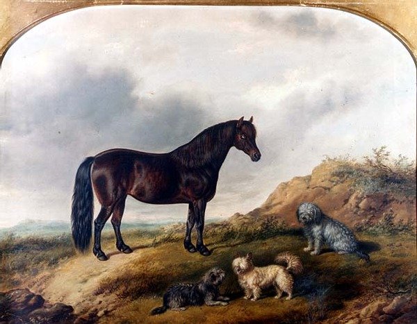 En ponni og tre terriere i et landskap av G. Jackson