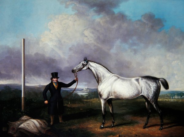 Gentleman holder en grå veddeløpshest på en bane (olje på lerret) av G. Jackson
