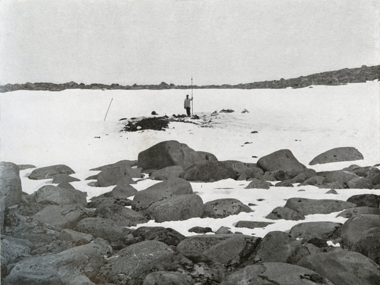 Eksteriør av Igloo, c1911, 1913 av G. Murray Levick