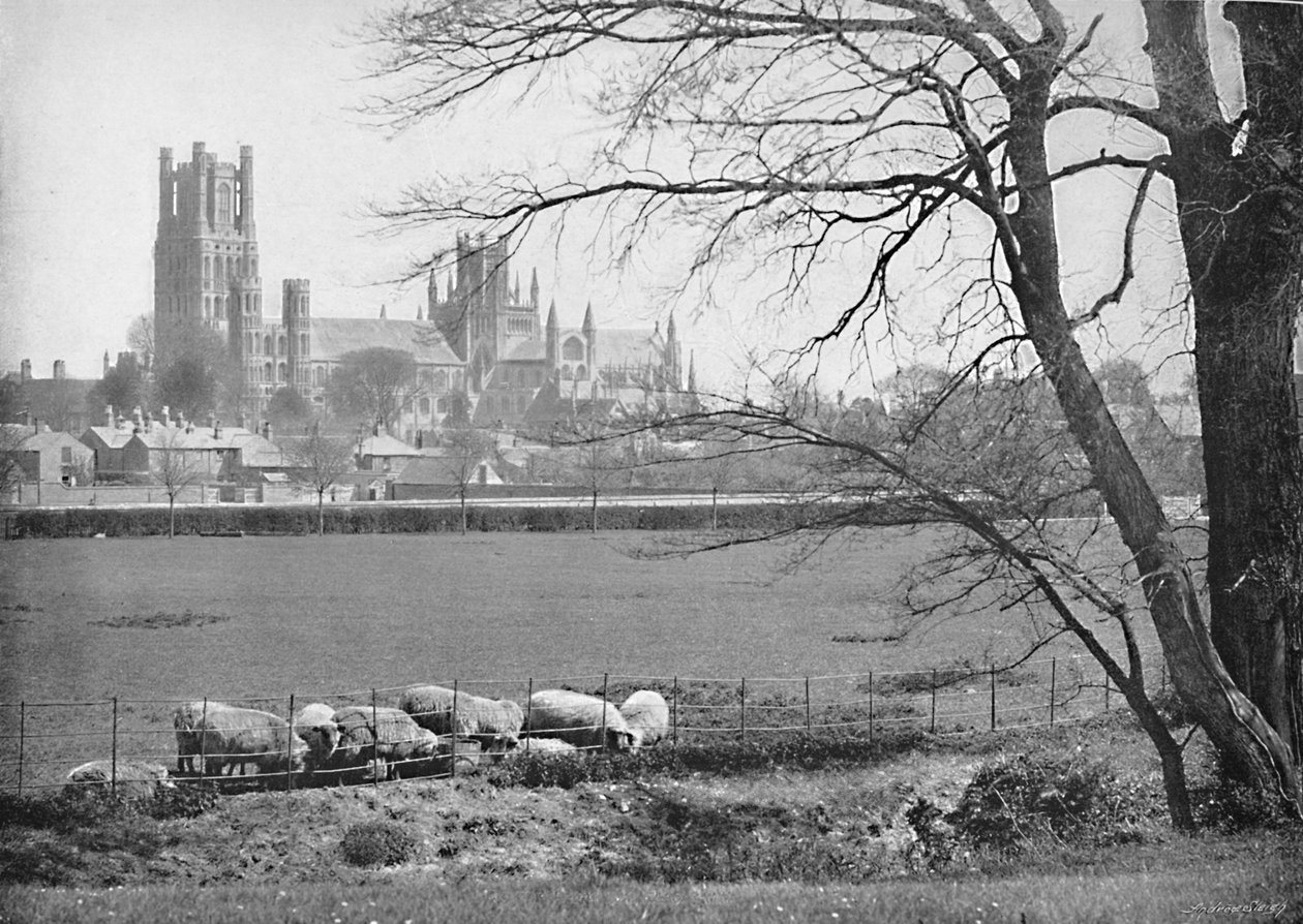Ely katedral, c1896 av G. W. Wilson and Company