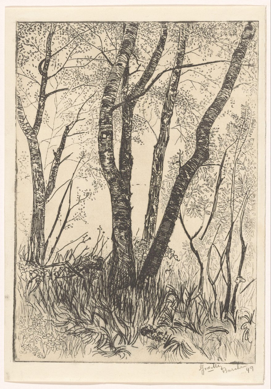 Trær i høyt gress av G. van der Mey (signed by artist)
