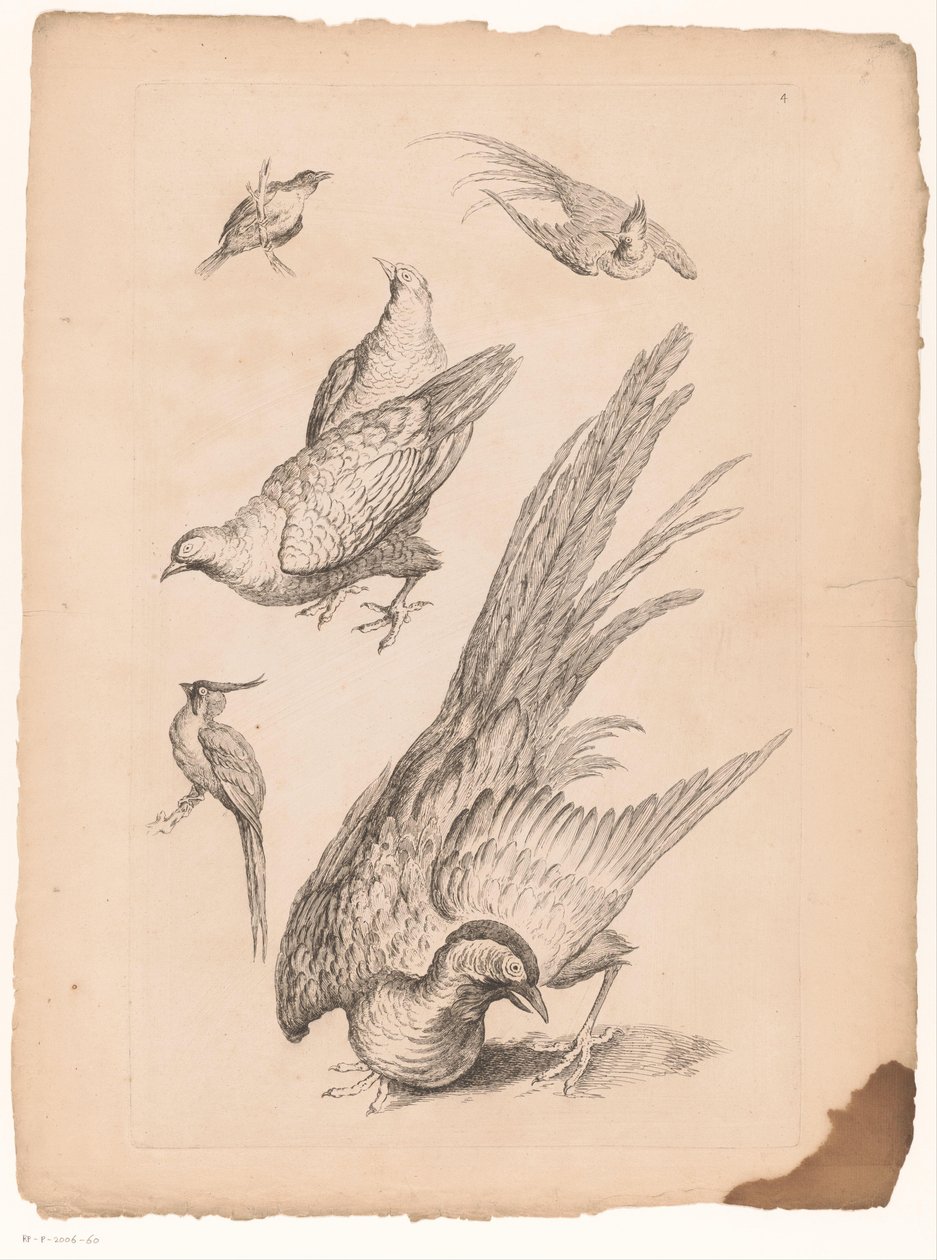 Zes kinesiske fugler Verschillende Chinese vogels (serietittel) Bok med forskjellige fuglearter i Kina (serietittel) av Gabriel Huquier (attributed to)