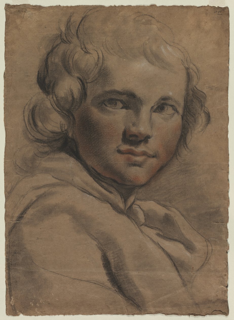 Leder for en ung mann (recto) av Gaetano Gandolfi
