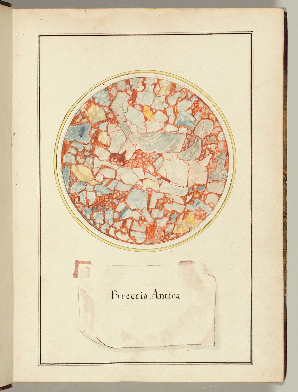  av Gaetano Piccini