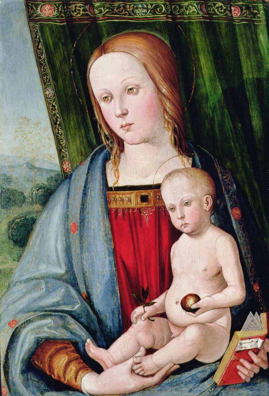 Jomfru og barn, etter 1494 (tempera med oljeglasur på panel) av Galeazzo Campi