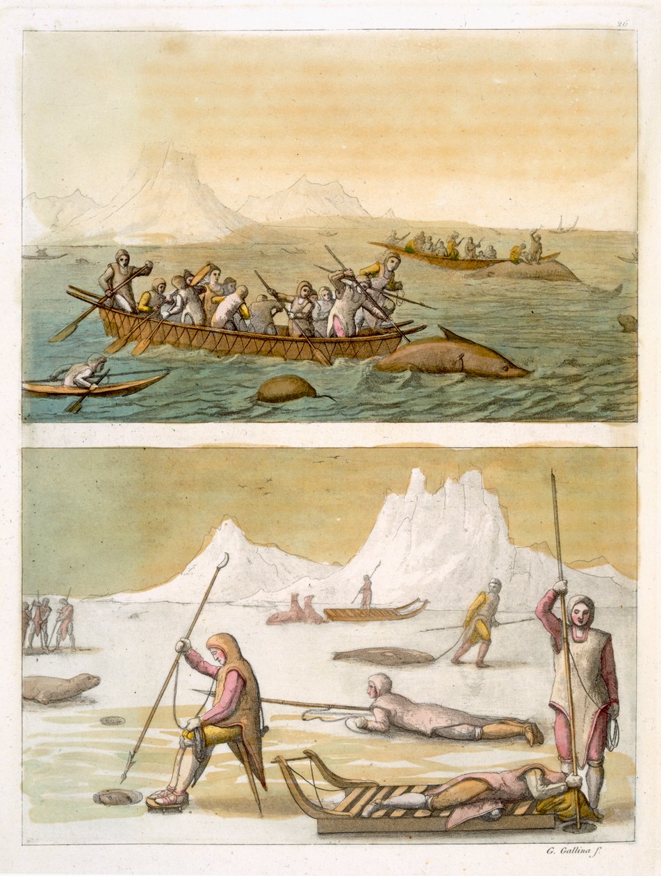 Grønland: Hvalfiske og selfangst, fra 