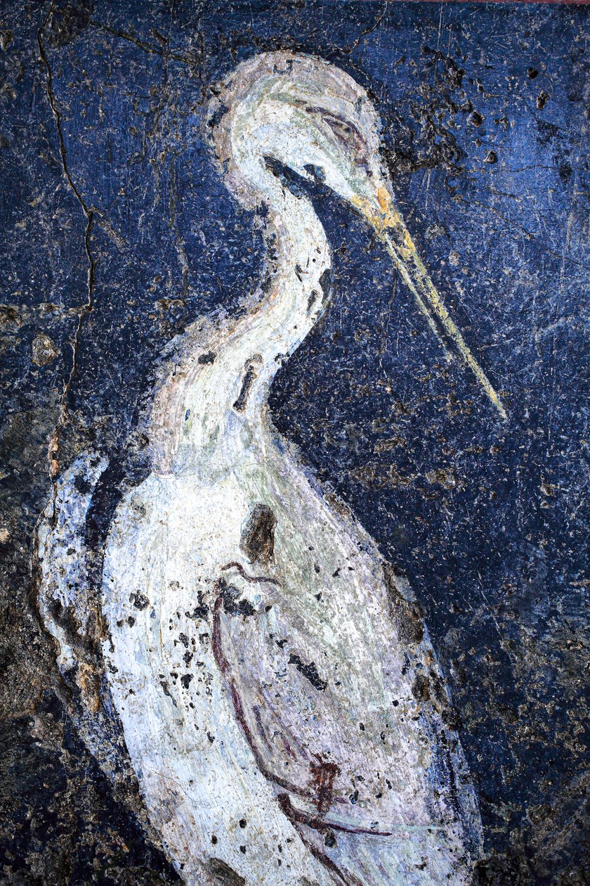 Romersk veggmaleri av Gallo-Roman