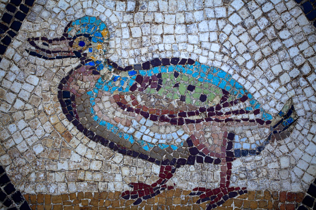 Romersk mosaikk av Gallo-Roman Gallo-Roman